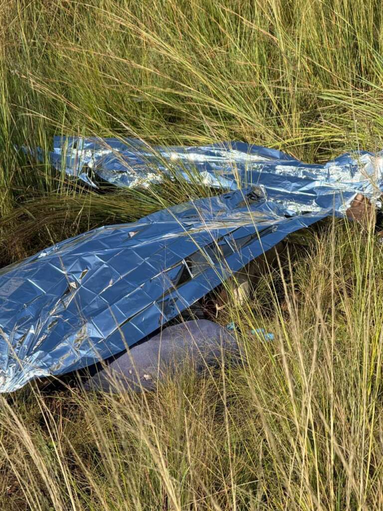 A person lies under a silver emergency blanket in tall grass, partially visible and seemingly at rest. The scene conveys a sense of isolation outdoors.