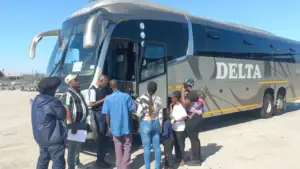 Zimbabwe Repatriates 74 Citizens Following Mossel Bay Unrest